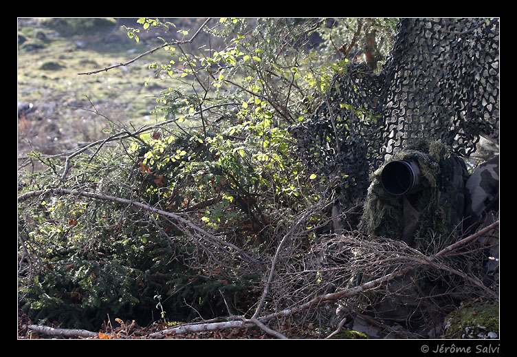 construire un affût photo de camouflage